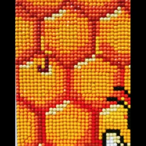 Discount JaCaRou Puzzles ABEILLE 30 x 30
