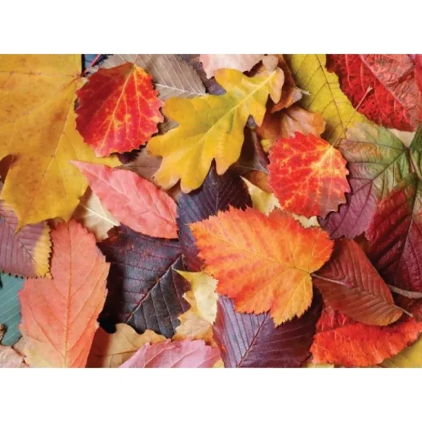 Hot JaCaRou Puzzles Casse-tête - COLORFUL LEAVES - MA-3525